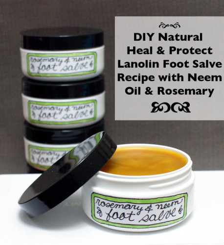 \"heal-and-protect-diy-lanolin-and-neem-oil-foot-salve-recipe\"